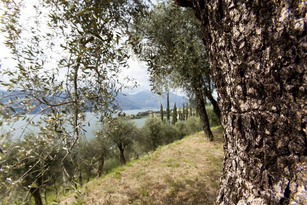 Residence Le Balze Malcesine Buitenkant foto